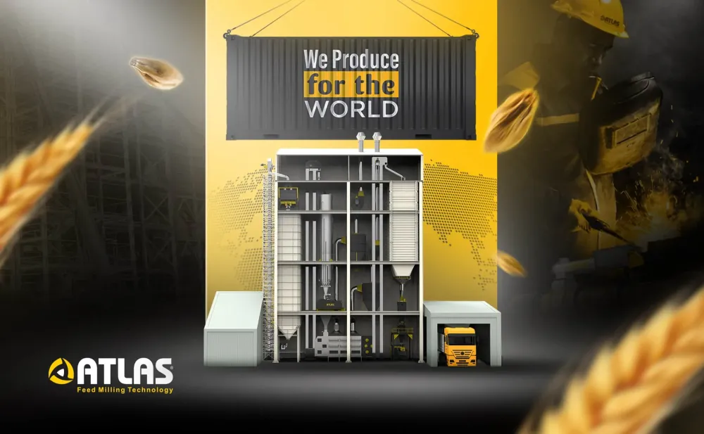 Turnkey Feed Mill vs Piecemeal Purchase