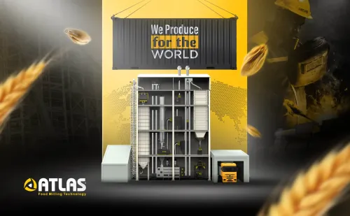 Turnkey Feed Mill vs Piecemeal Purchase