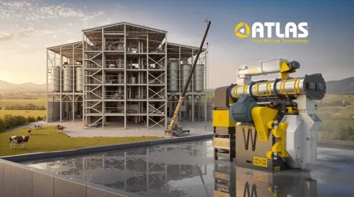Export-Oriented Feed Mill Installation